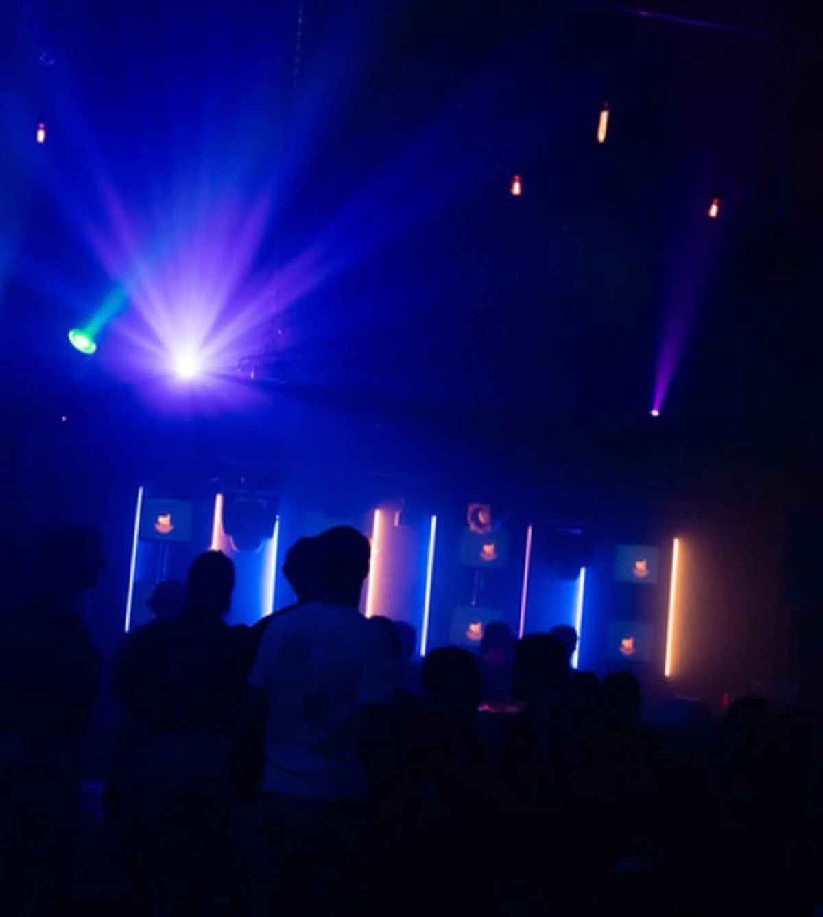 De Stapjeskamer - 15 November